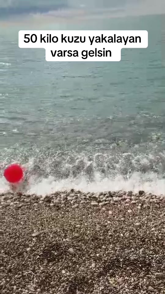 @🏆🏆S&Uuml;LEYMAN🏆🏆