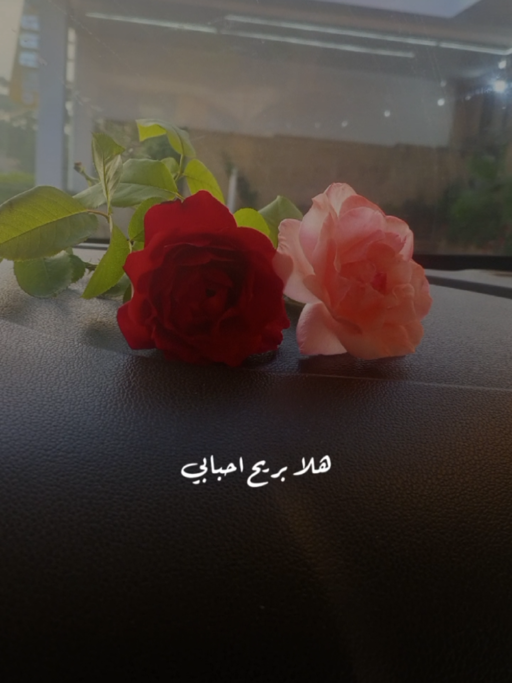 @lavendr81