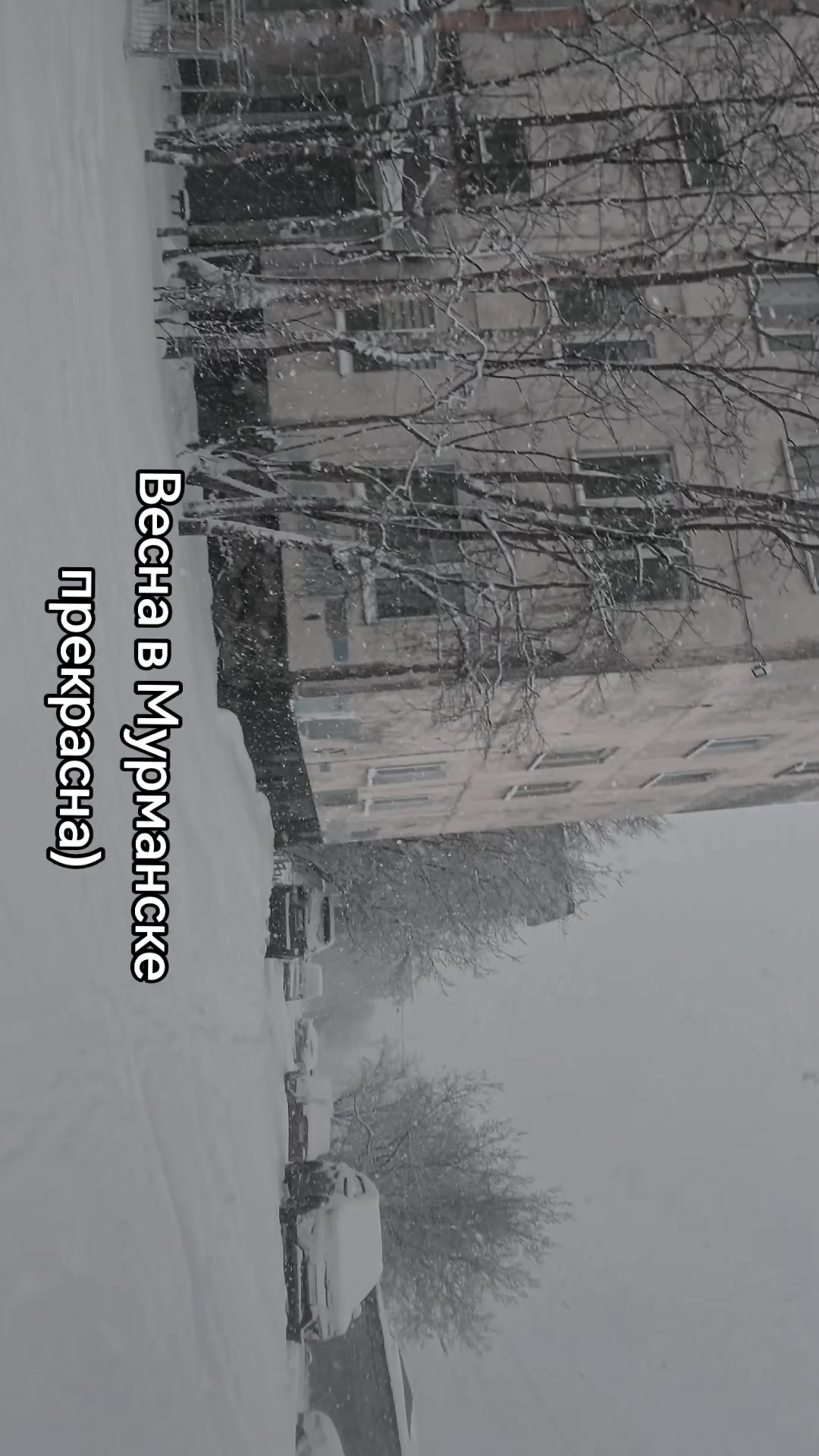 @Рыжая Анархистка@