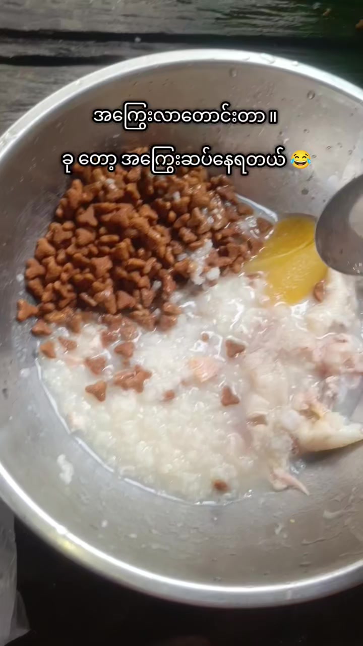 @"ရွှေဖြူးသား"၀က်မွေးမြူရေးခြံ
