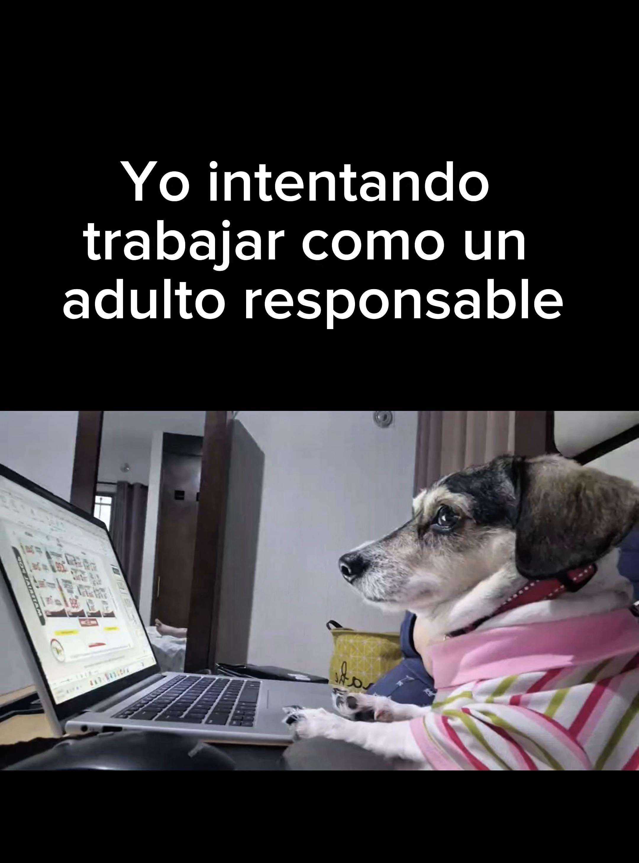 @Amorales