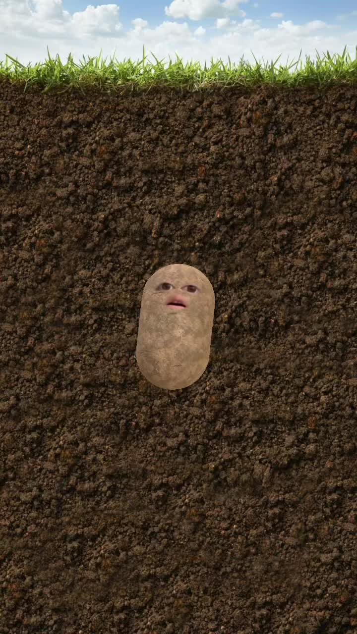 @that_singingpotato