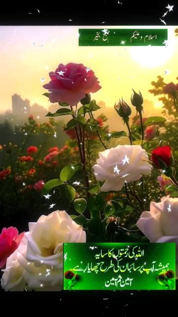@darakhshande1