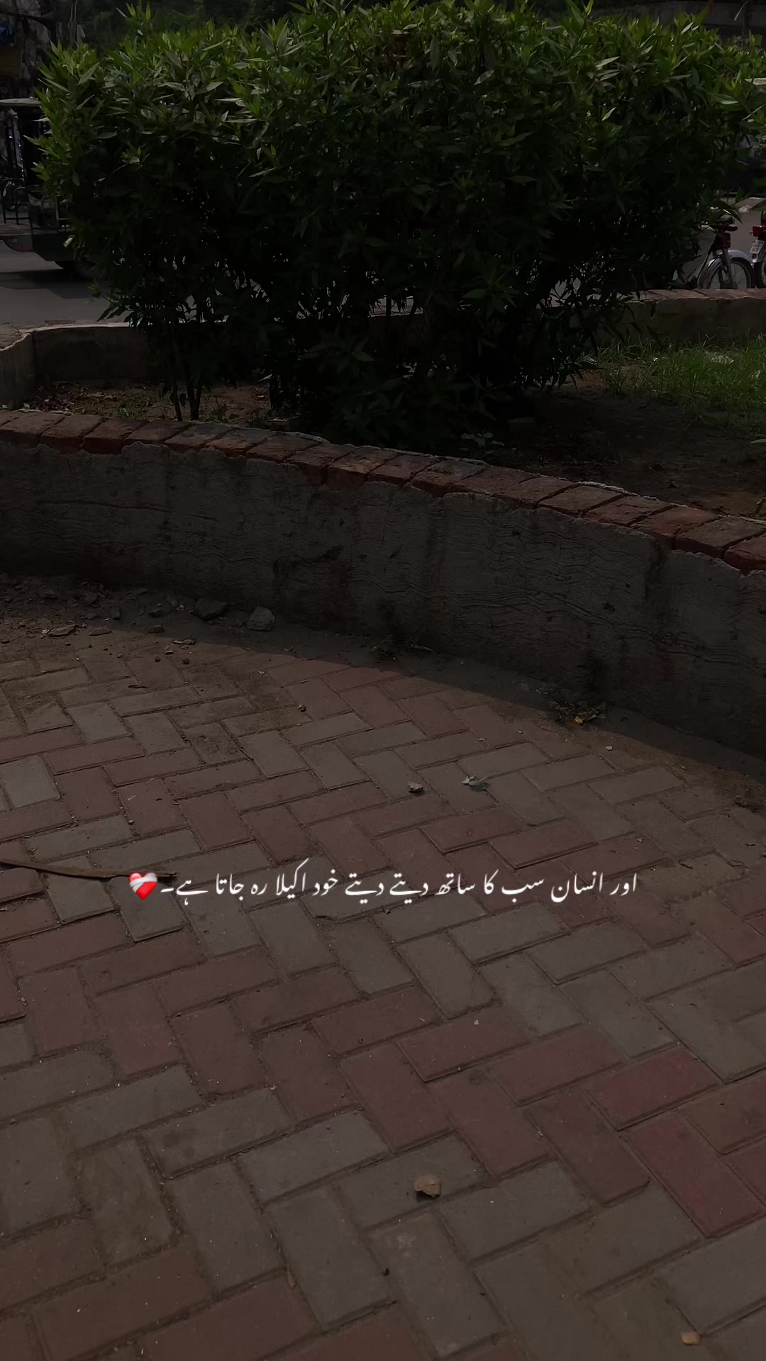 @ع🩹❤️🩹