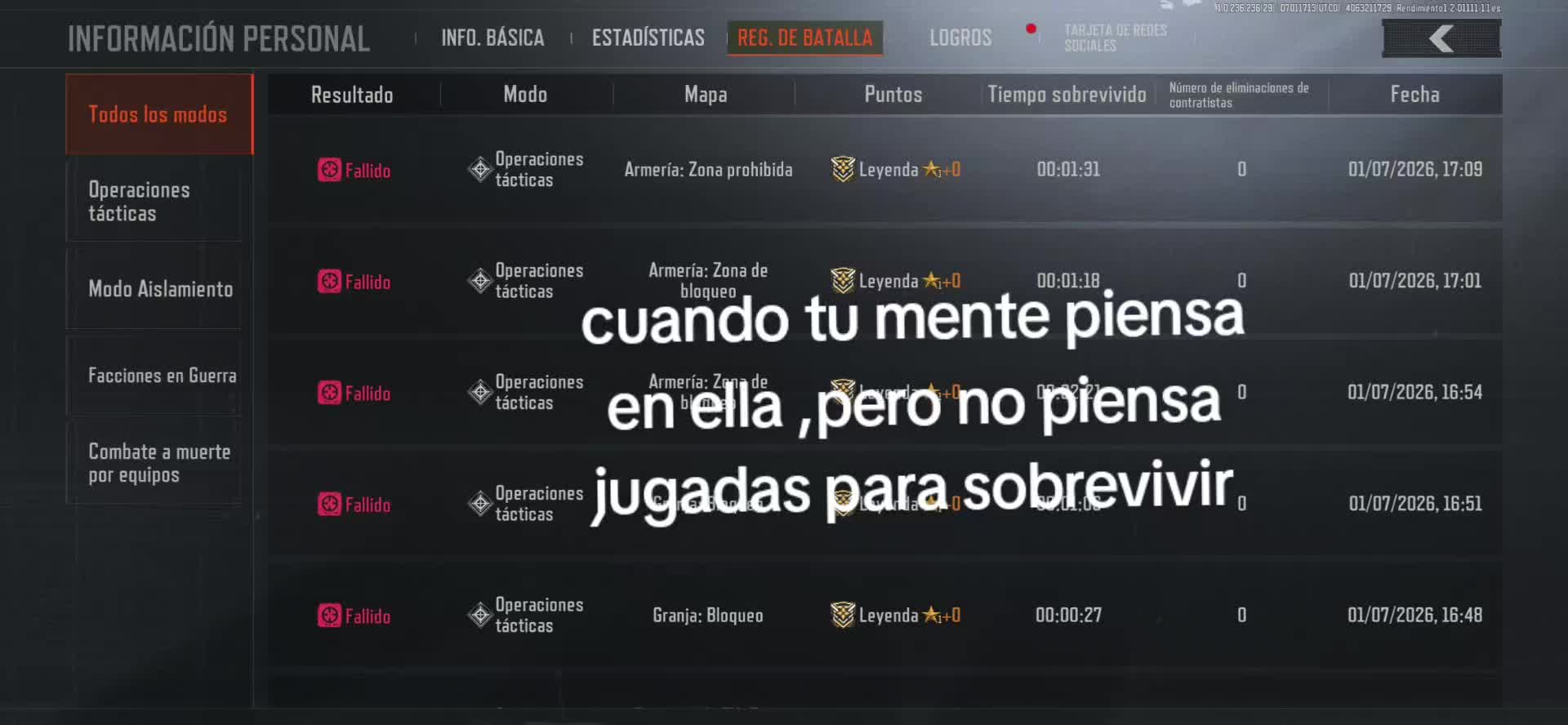 @gato de combate