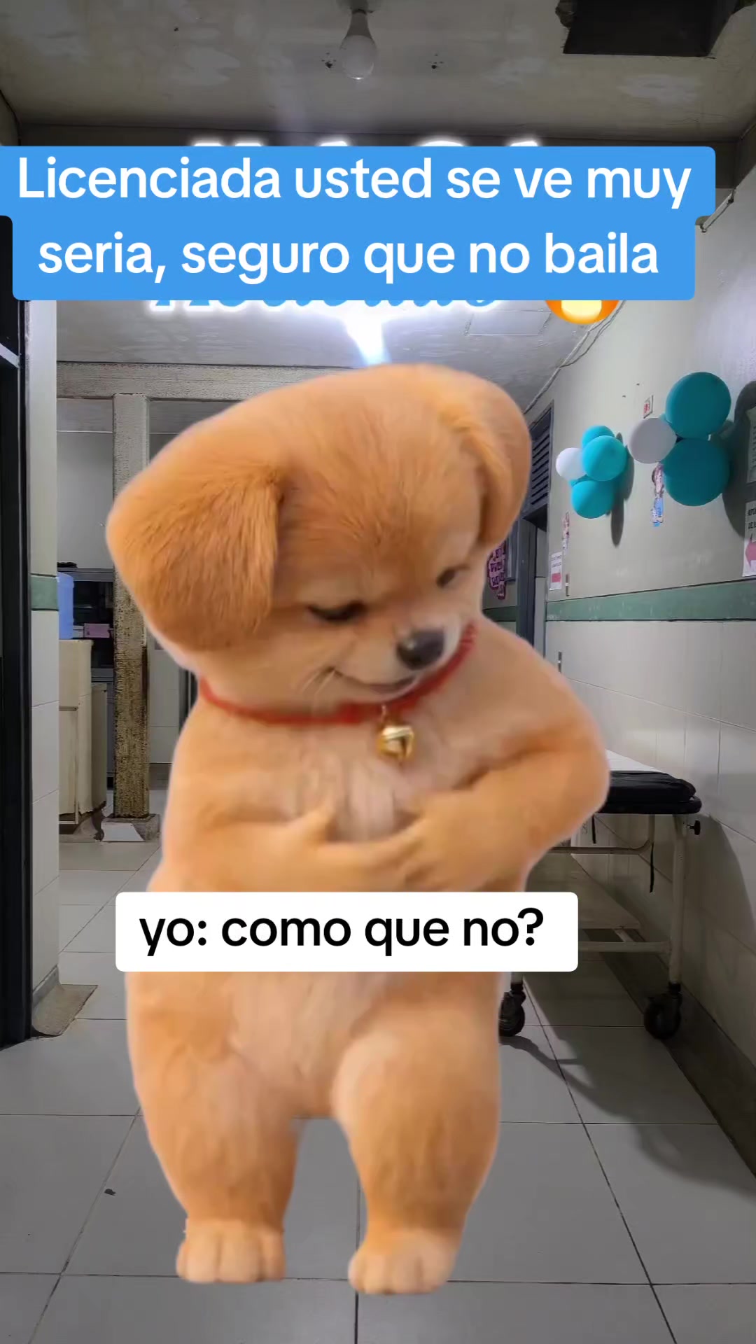 @Sullykris2019