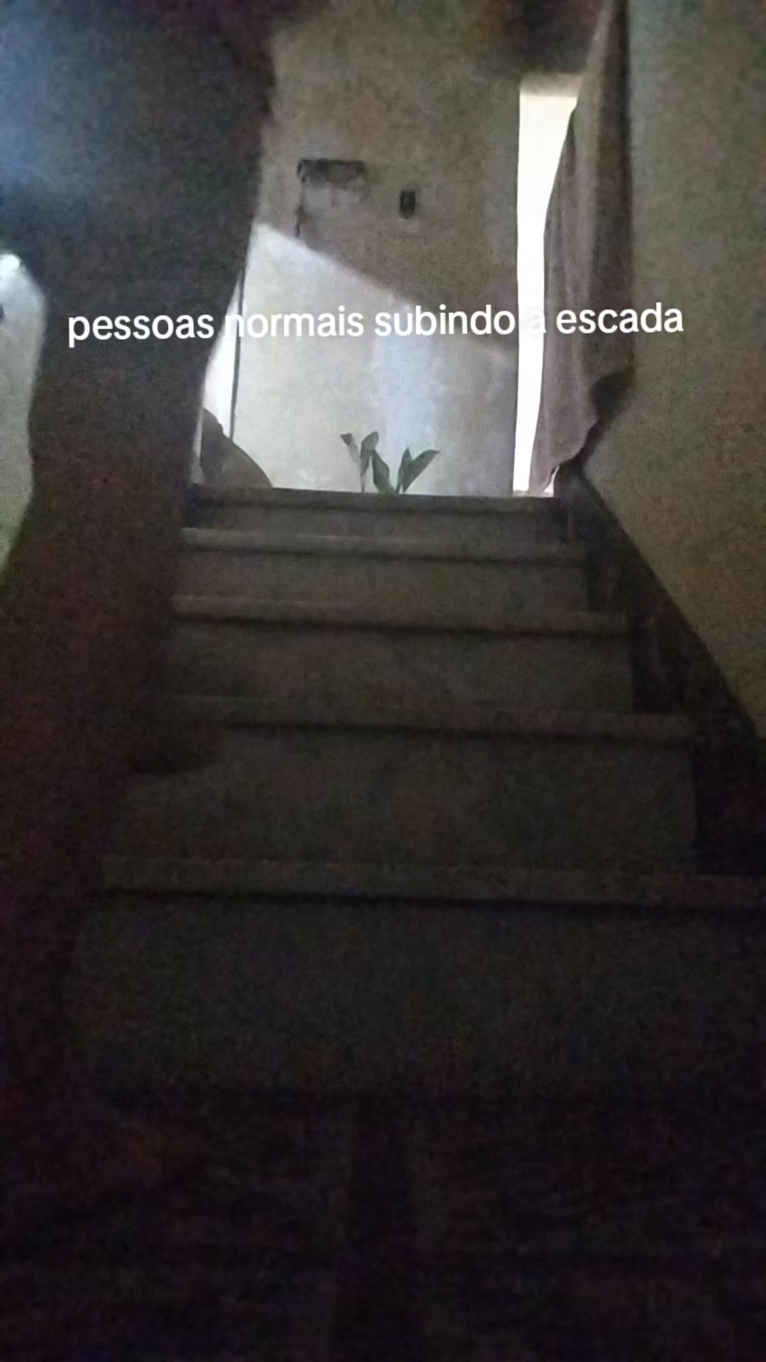 @soso🩵
