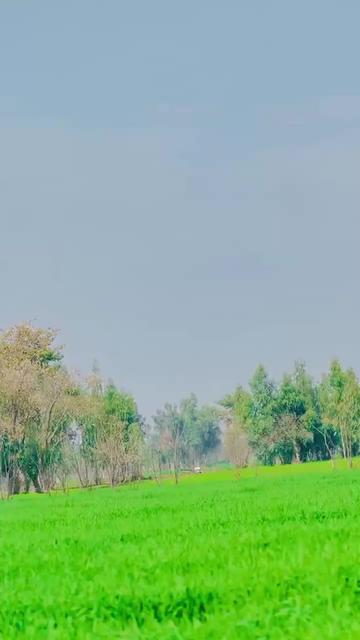 @MalikAryanKanjan🥷🏻