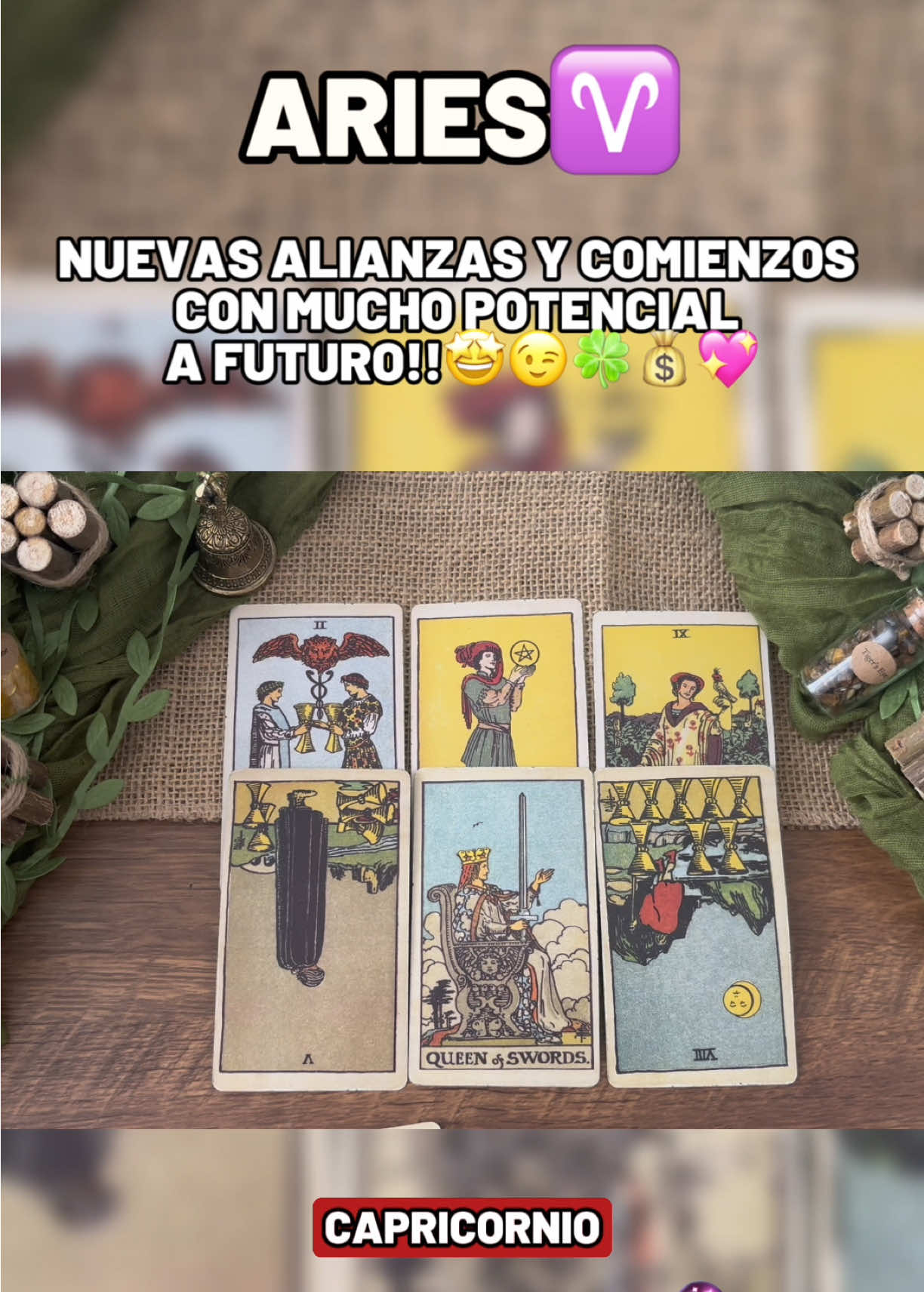 @Andy Sun Tarot ☀️