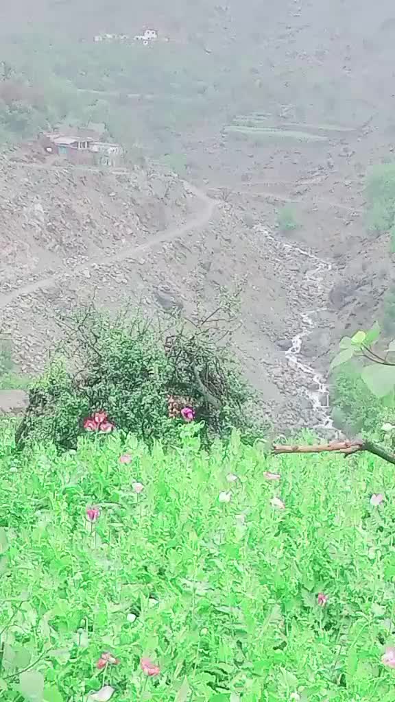 @zarbatkhan
