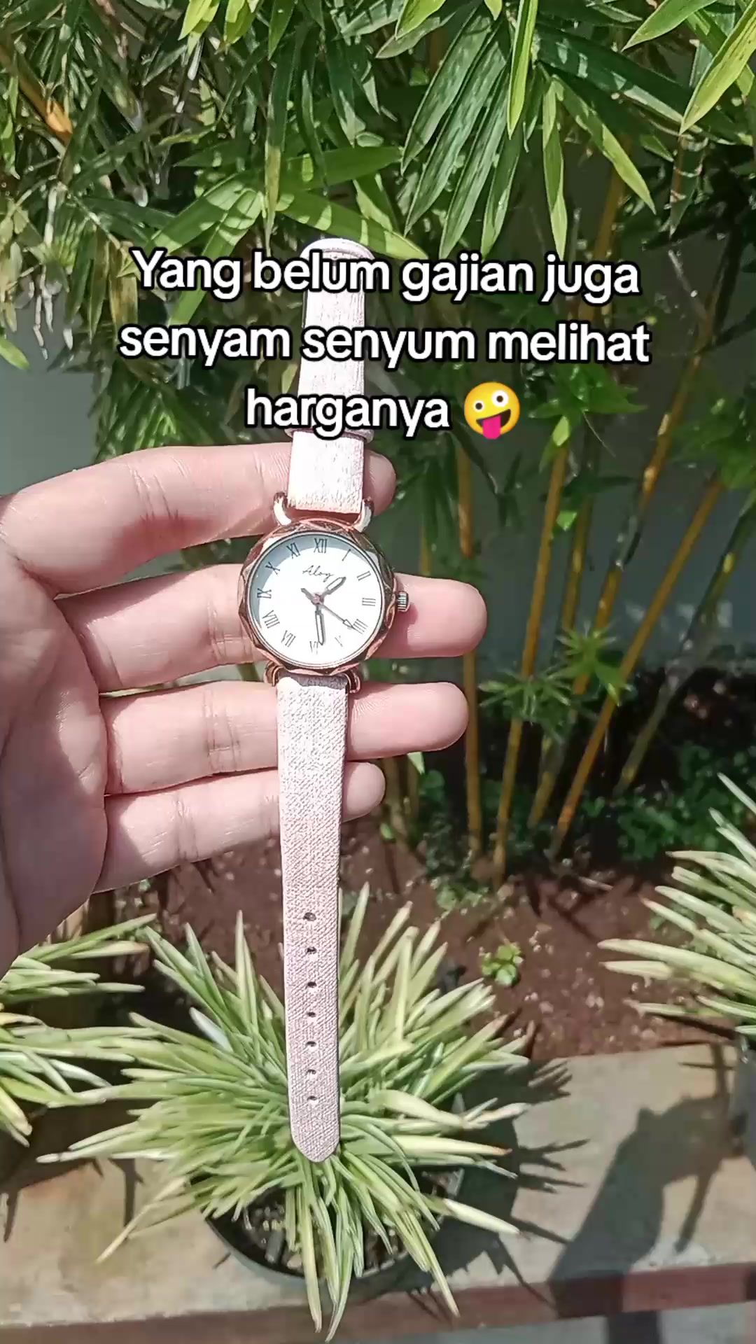 @S-tetik 🛒