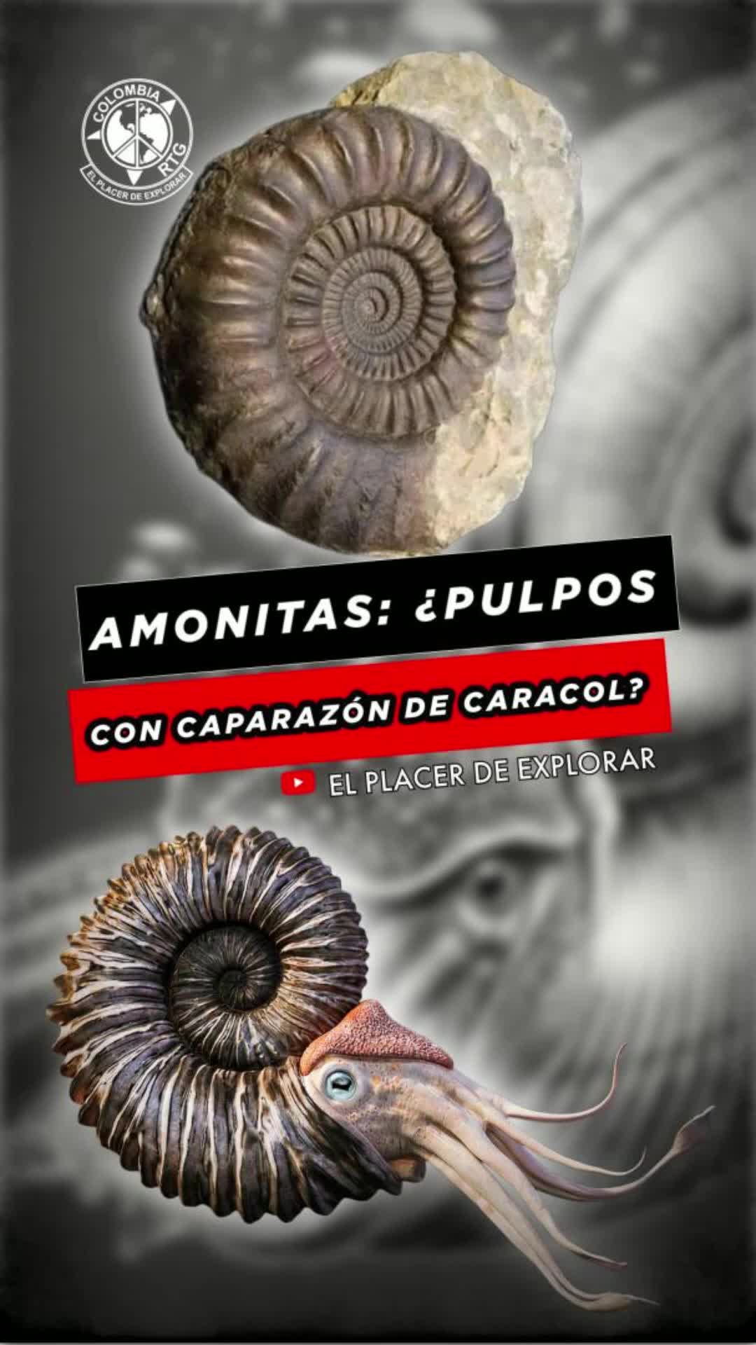 @El Placer De Explorar