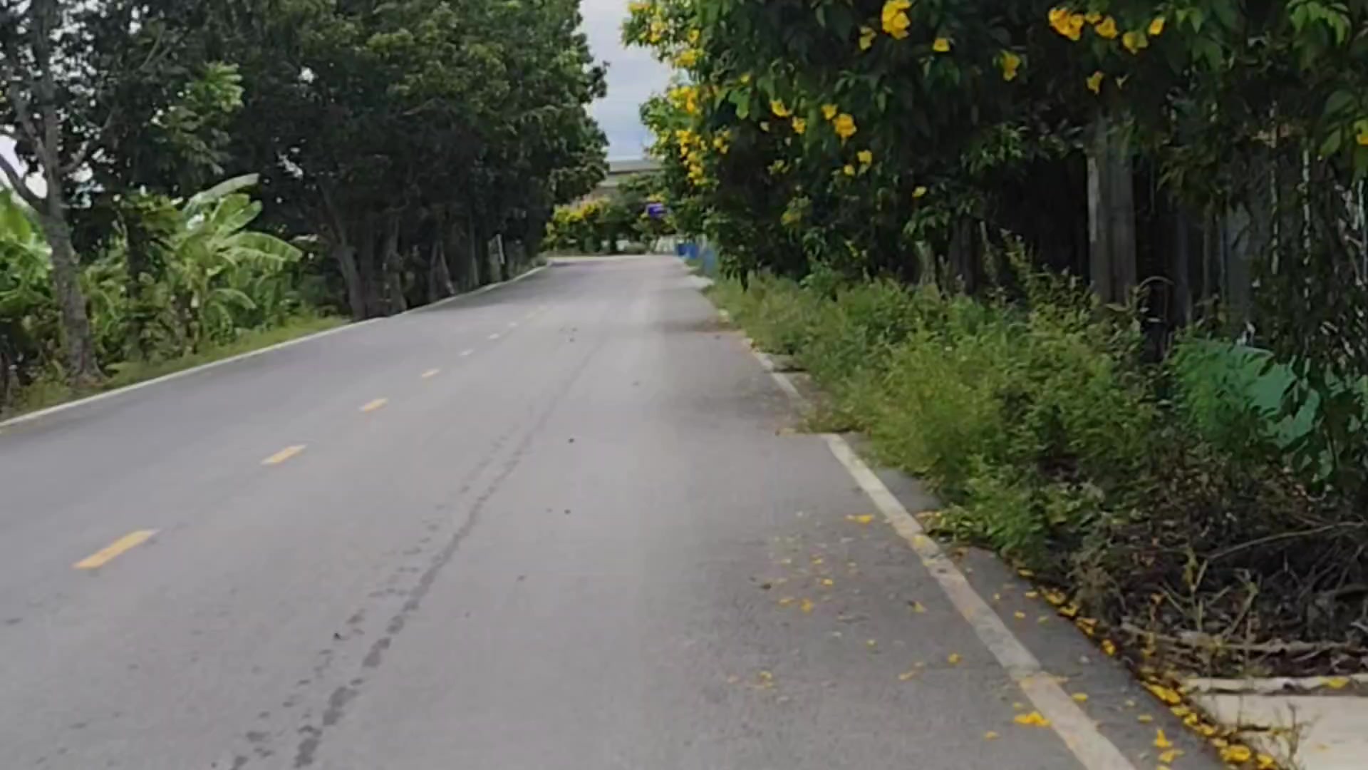 @🇬🇲 &Oslash;&oslash; Pă&yuml; 🇹🇭