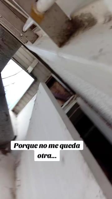 @lamamadeaurora