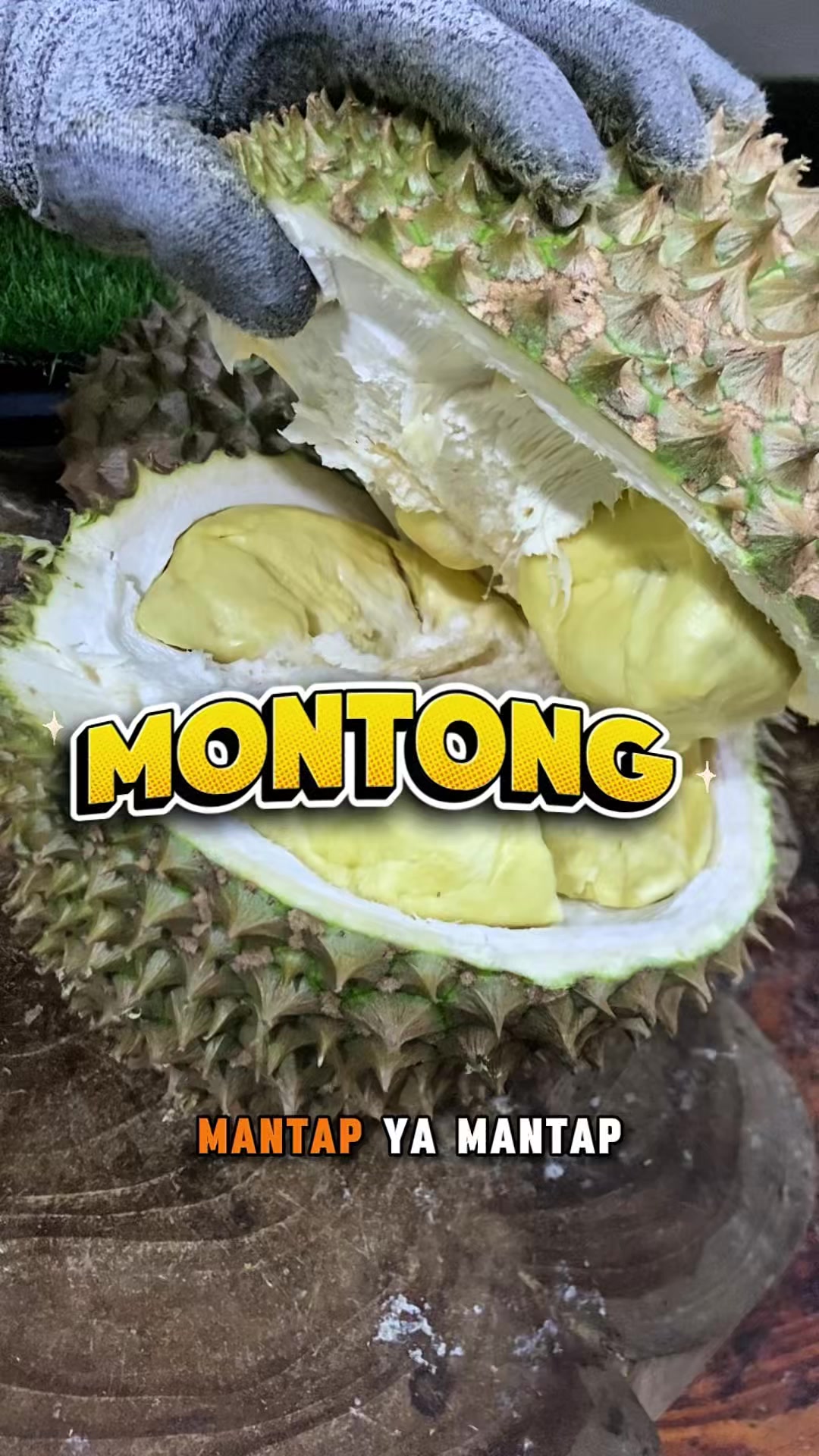 @CICIP DURIAN