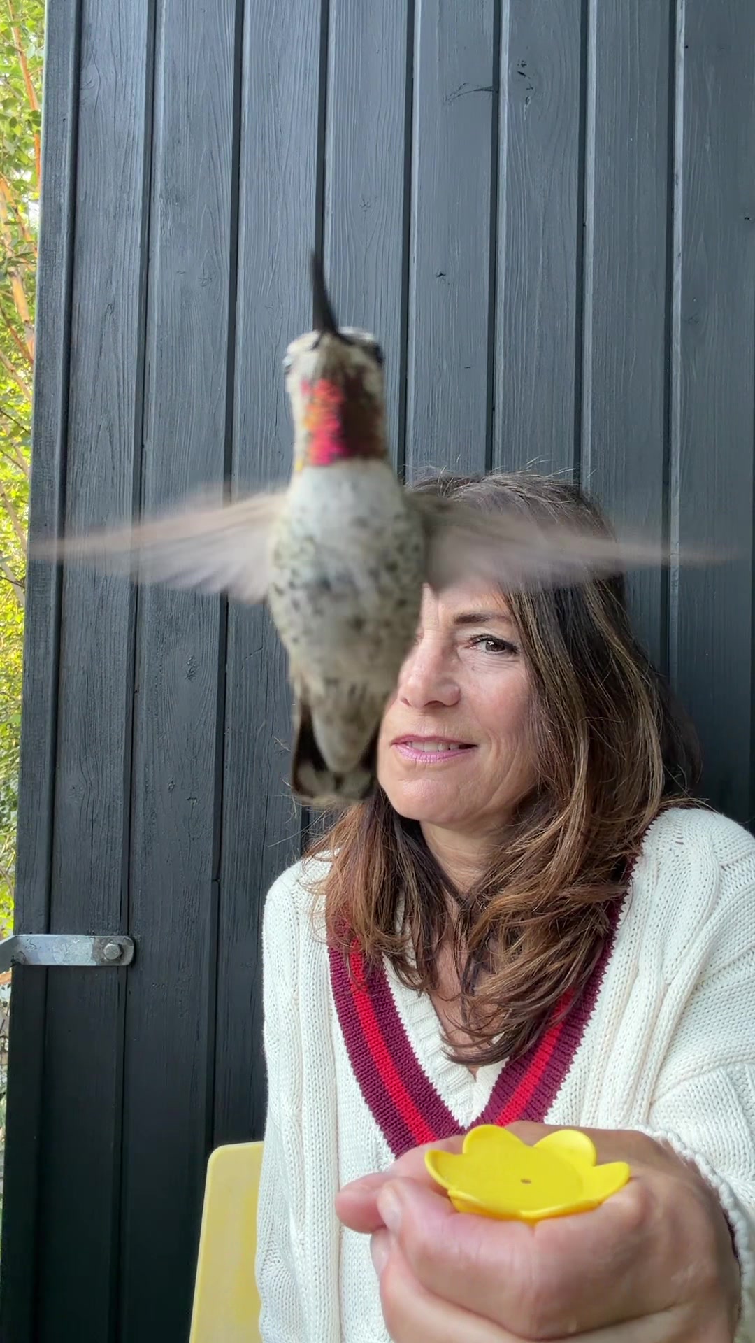 @Hummingbirdcrazy