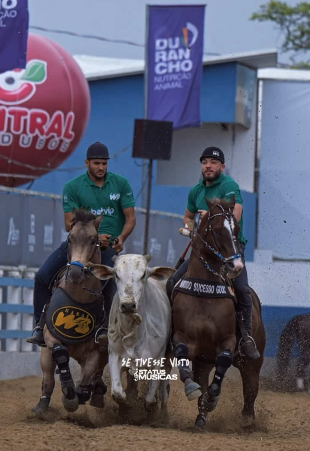 @forr&oacute; de vaquejada