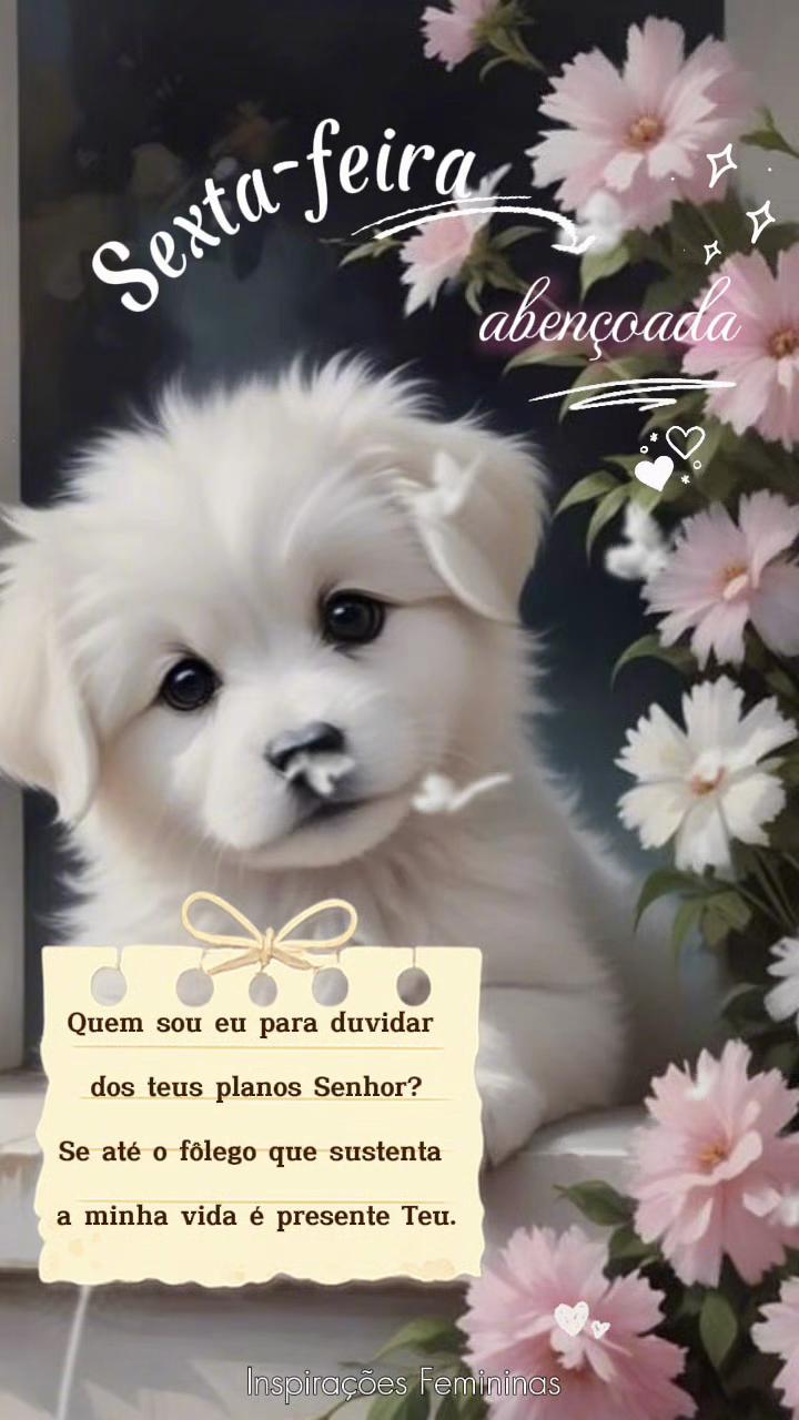@Inspira&ccedil;&otilde;es Femininas