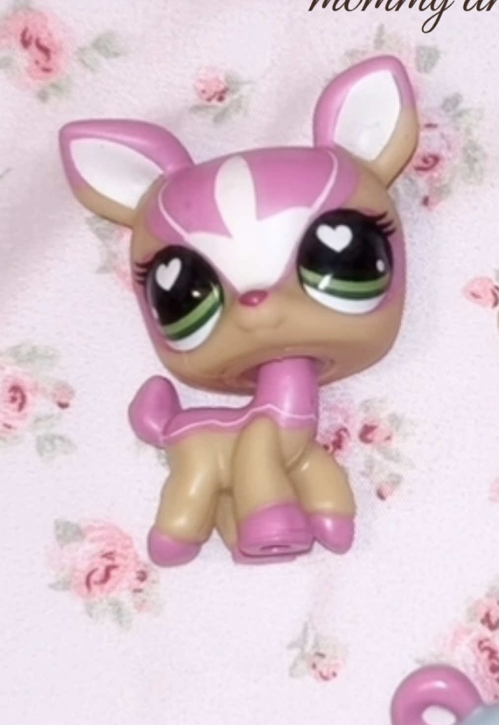 @littllteddybear
