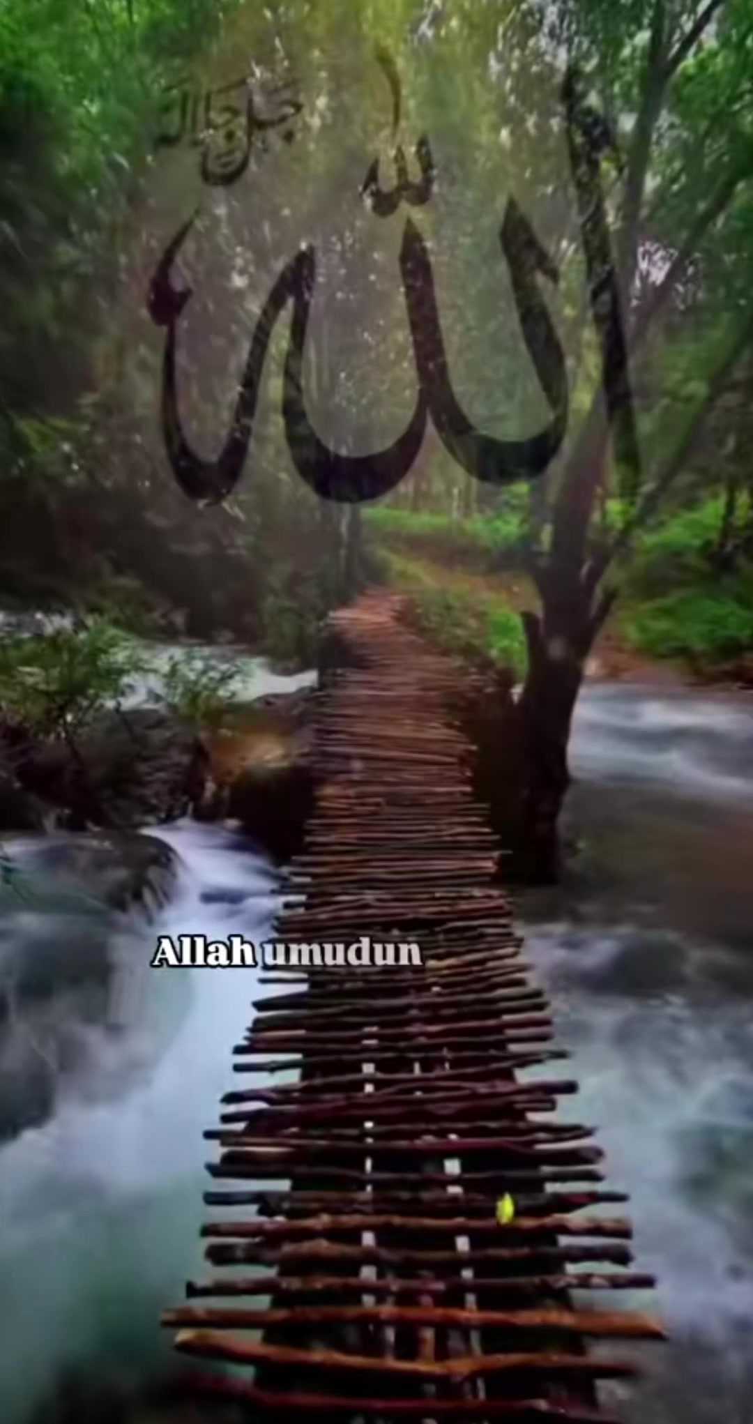 @Huzur İslam'da🤲