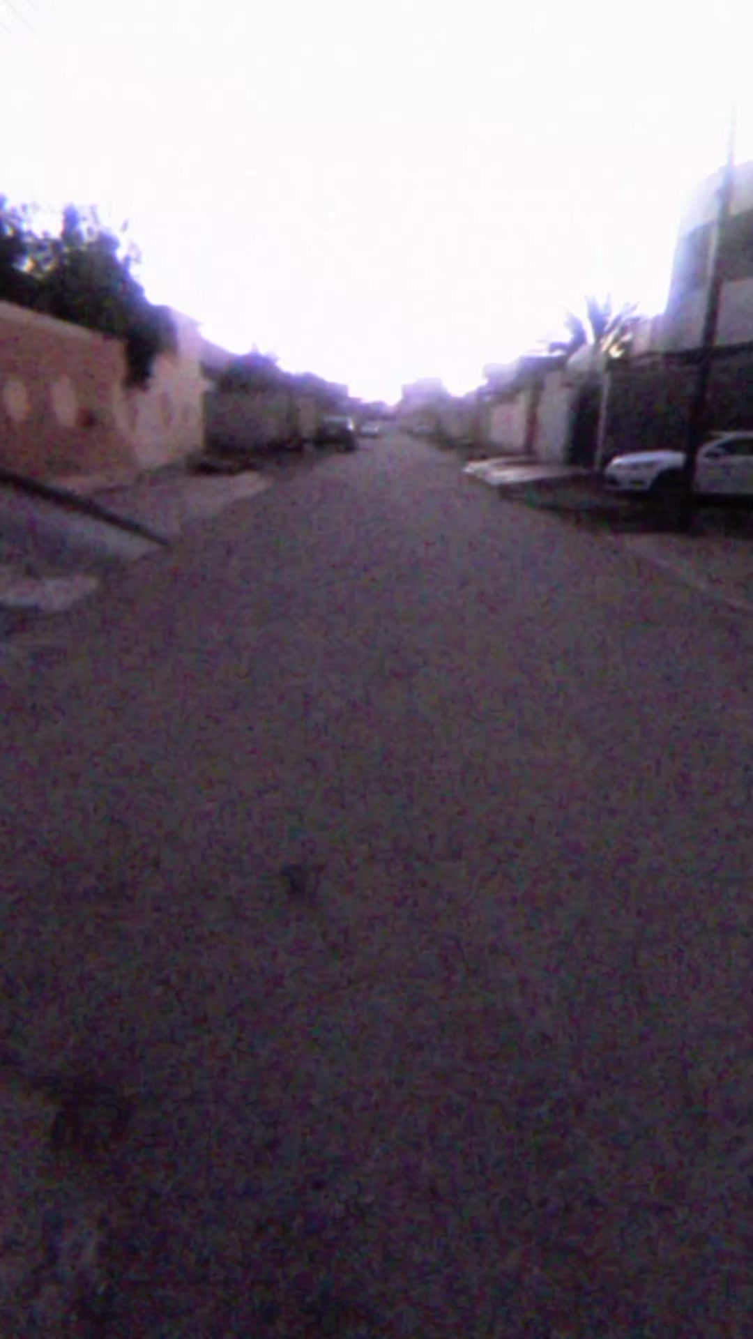 @ذوالفقار(يكره اليتصنعون)🙏🏻❄️