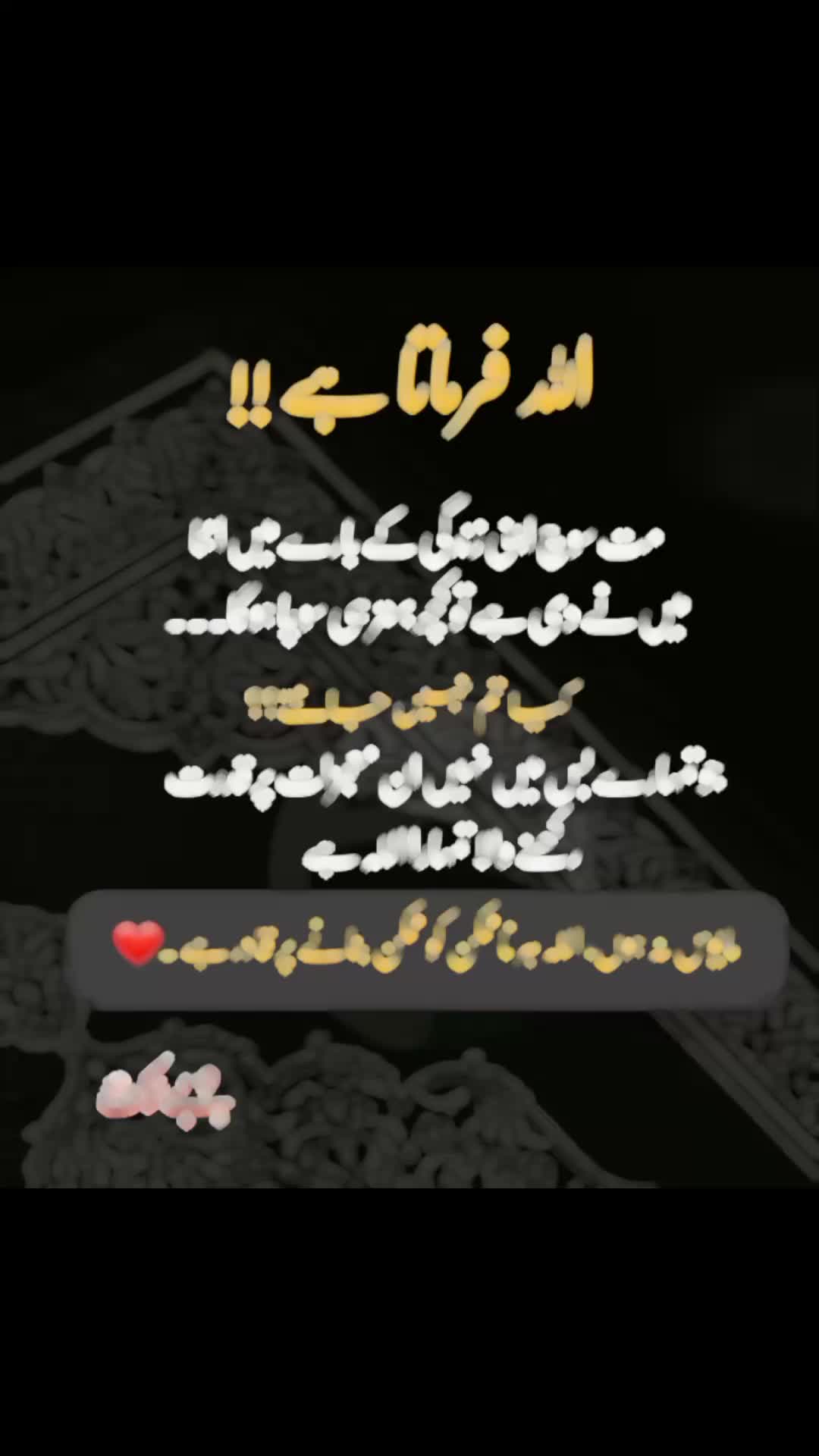 @khadija shafiq