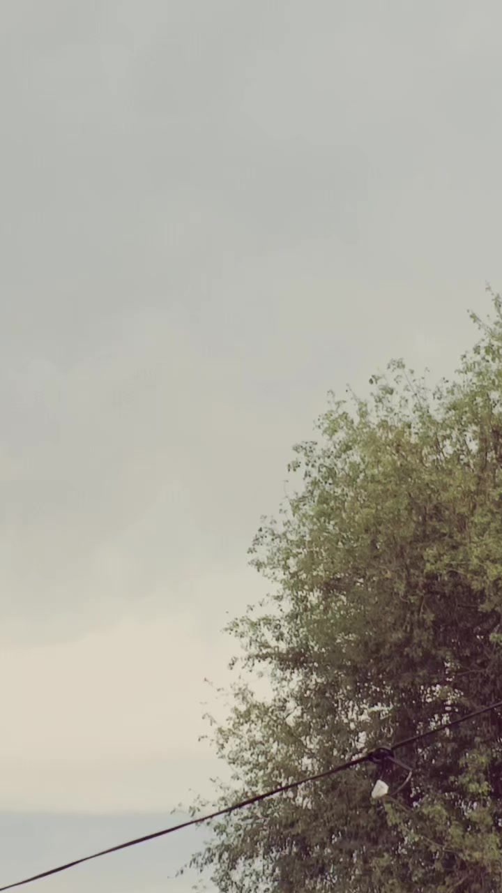 @👑 مسٹر  فیضان 👑
