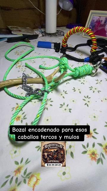 @RobertilloOviedo