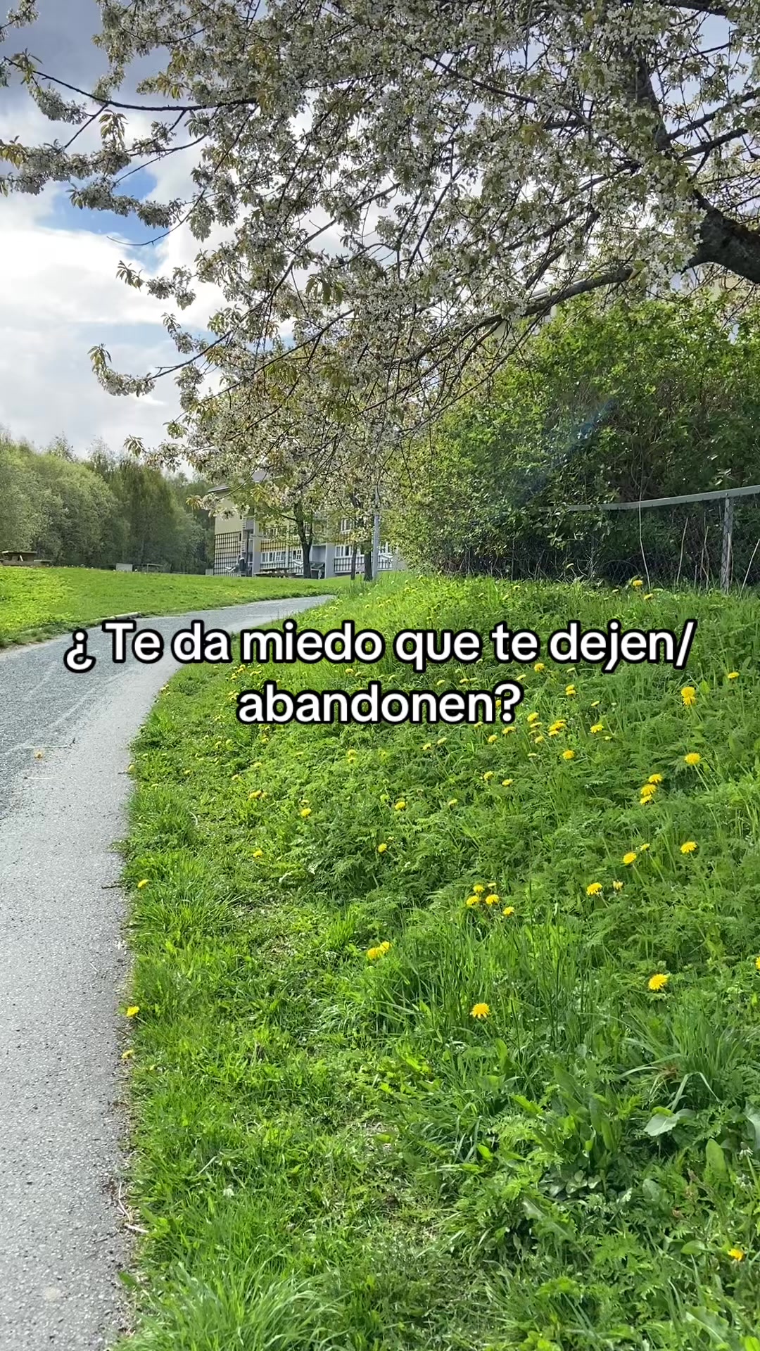 @Ana Garla