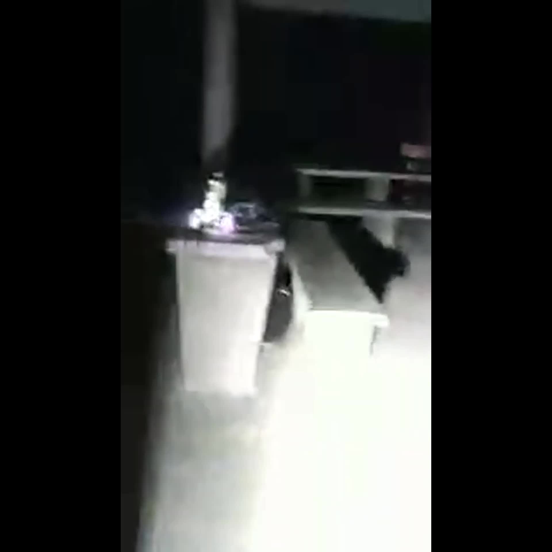 @シン★怪★芯