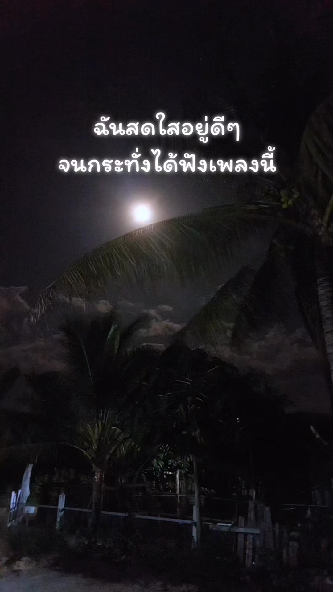 @🌼🍀นิชา🍀🌼