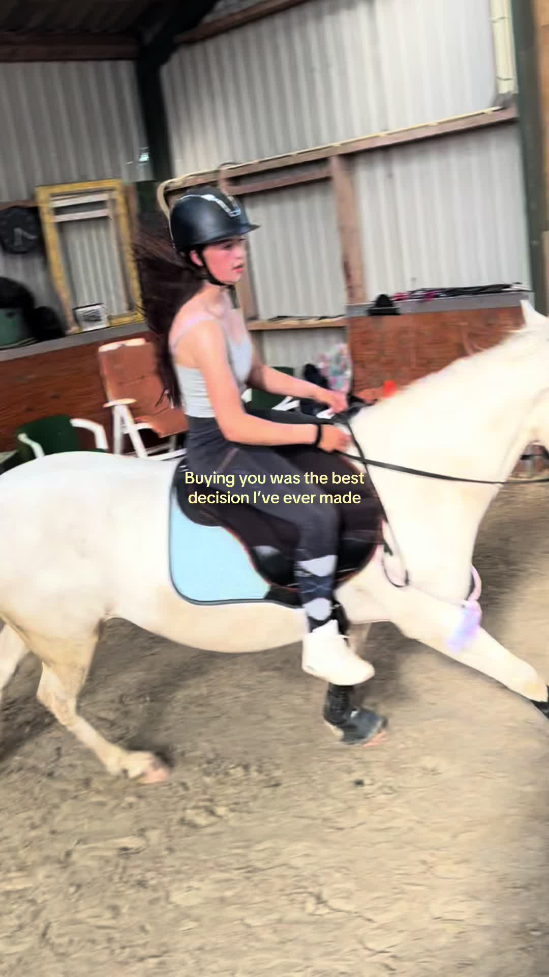 @🇳🇱 yara’s horselife 🇳🇱