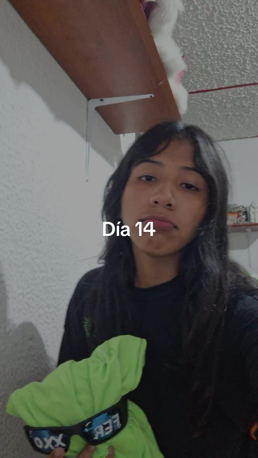 @DAYANX