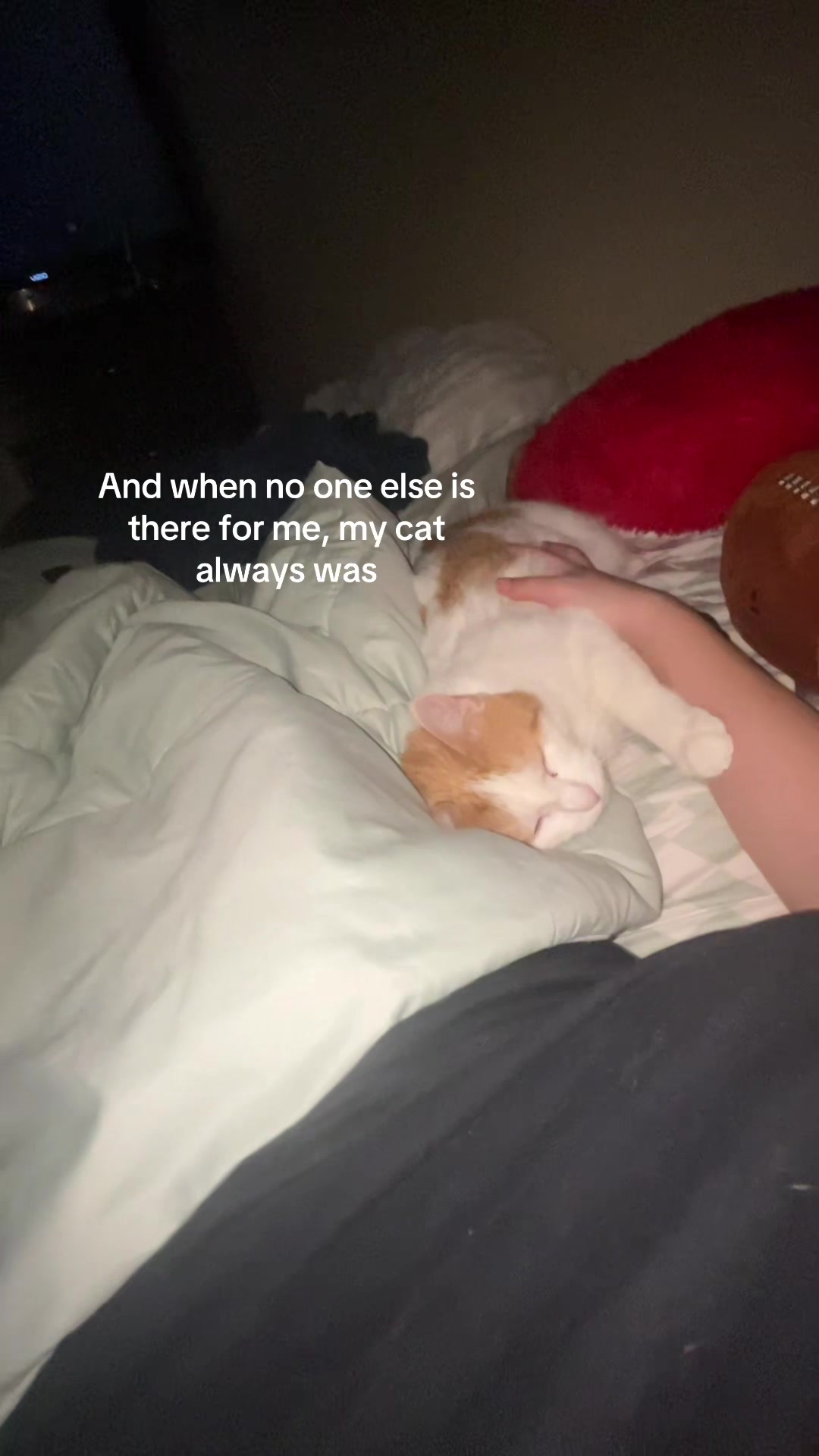 @bri💋