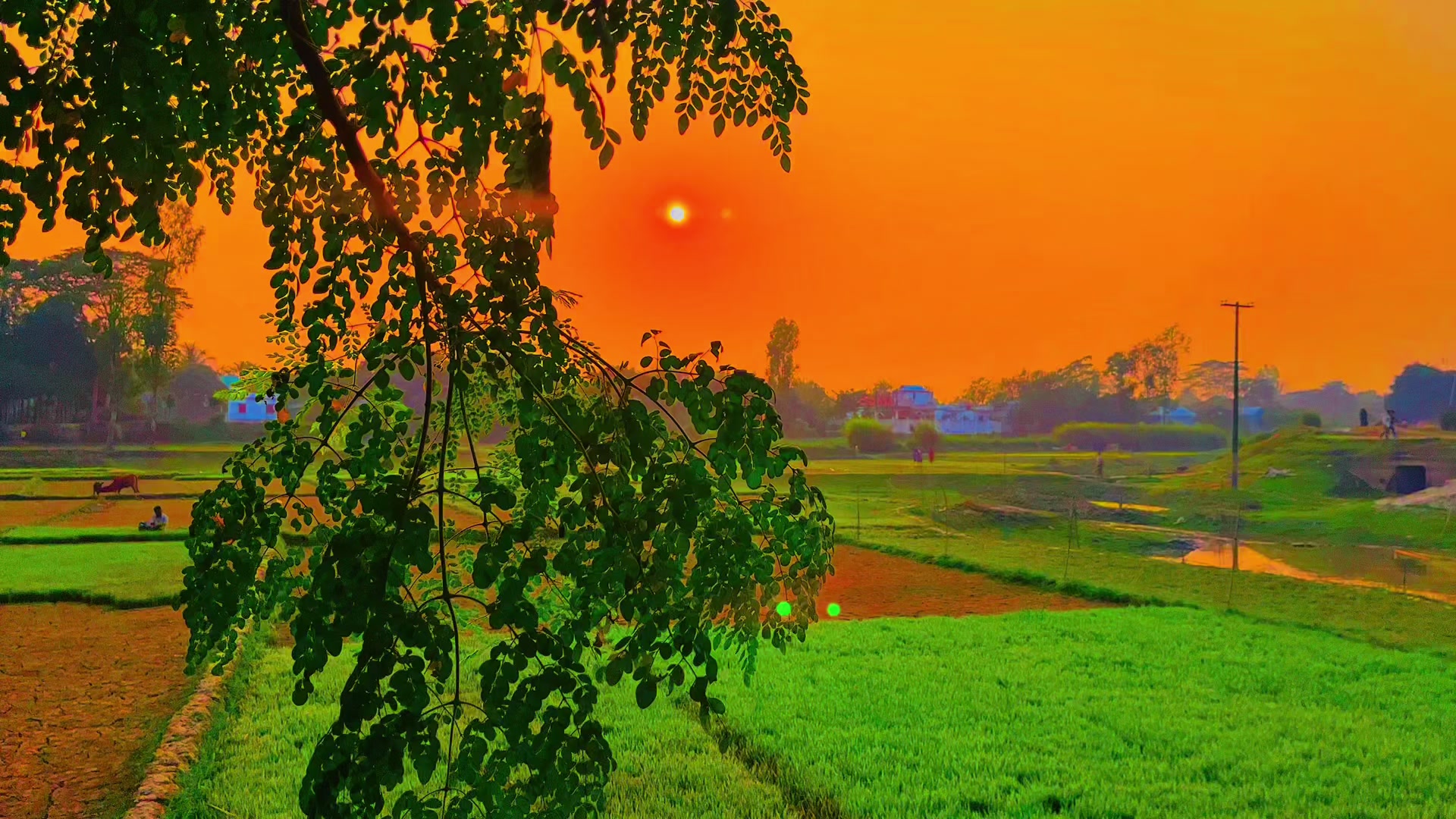 @ প্রকৃতি প্রেমিক সাইমন 🍃