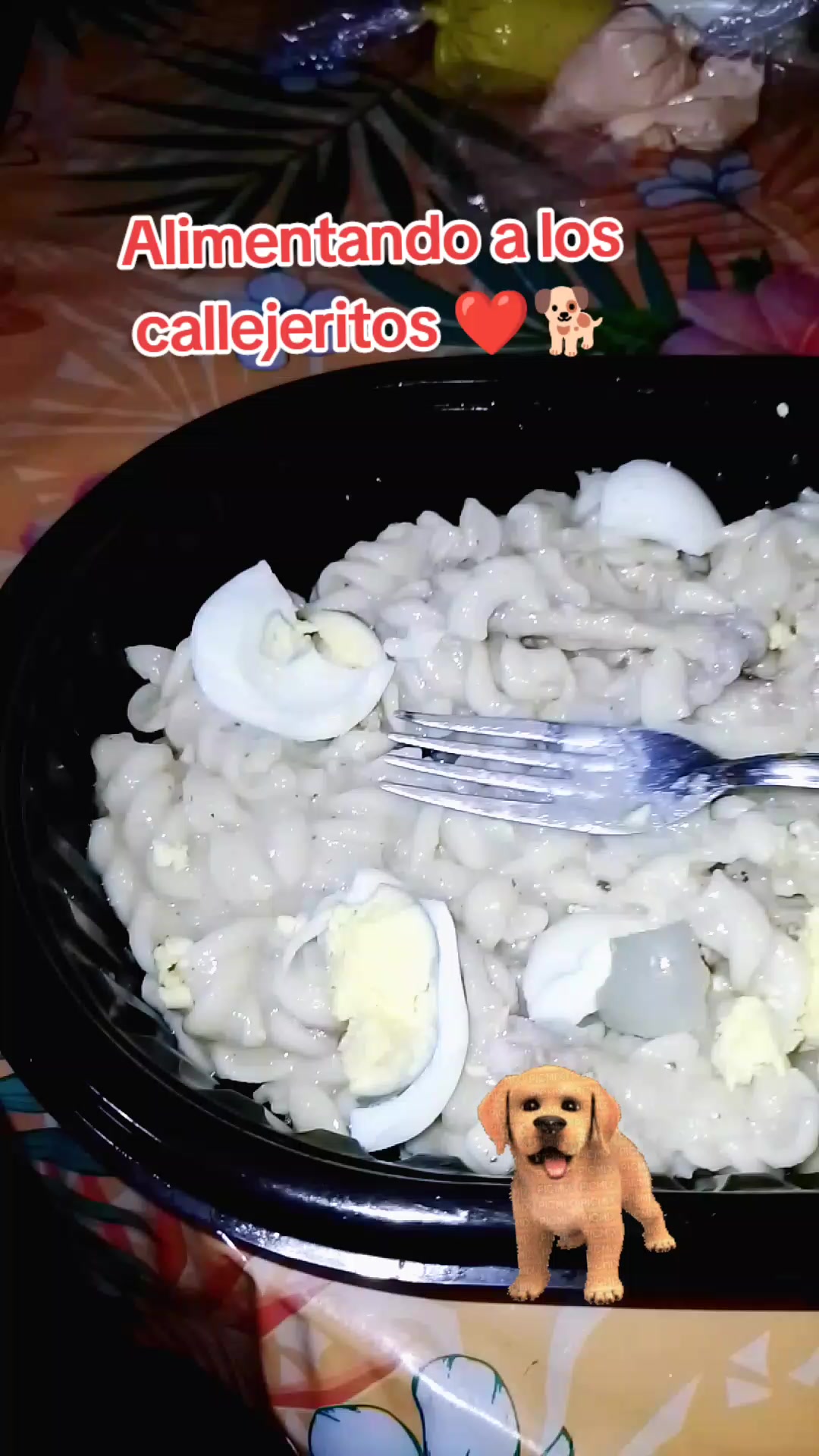 @🌷 Sarita y los callejeritos