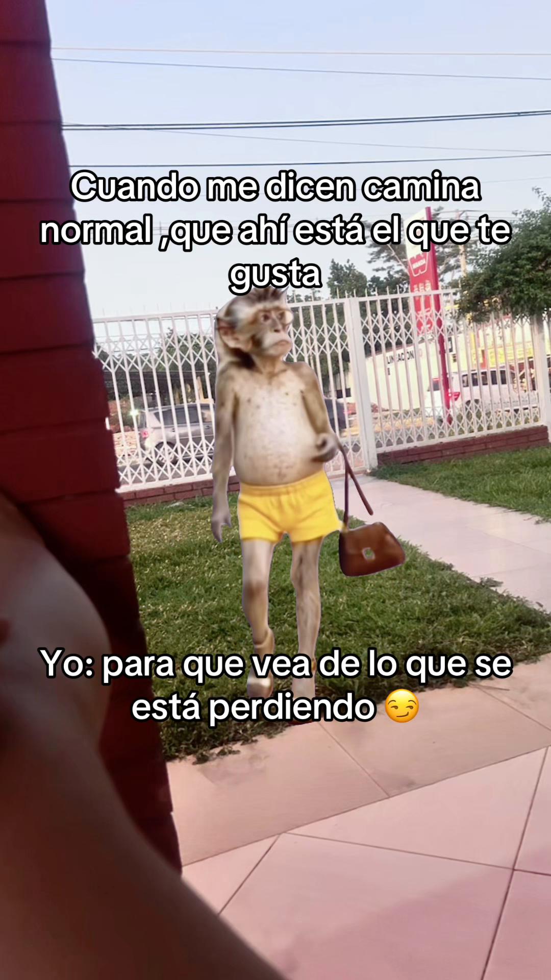 @sofybaez65