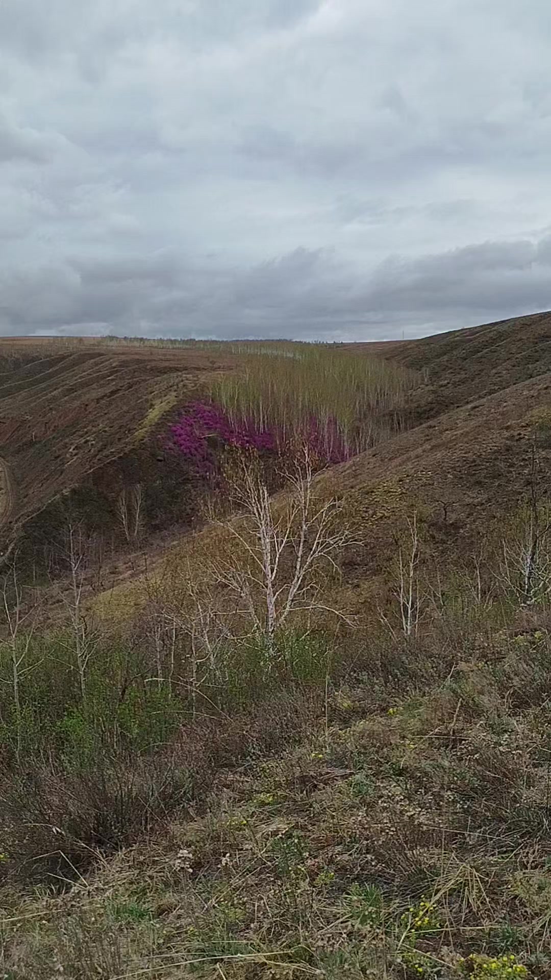 @🇷🇺Сергей Подойницын🇷🇺