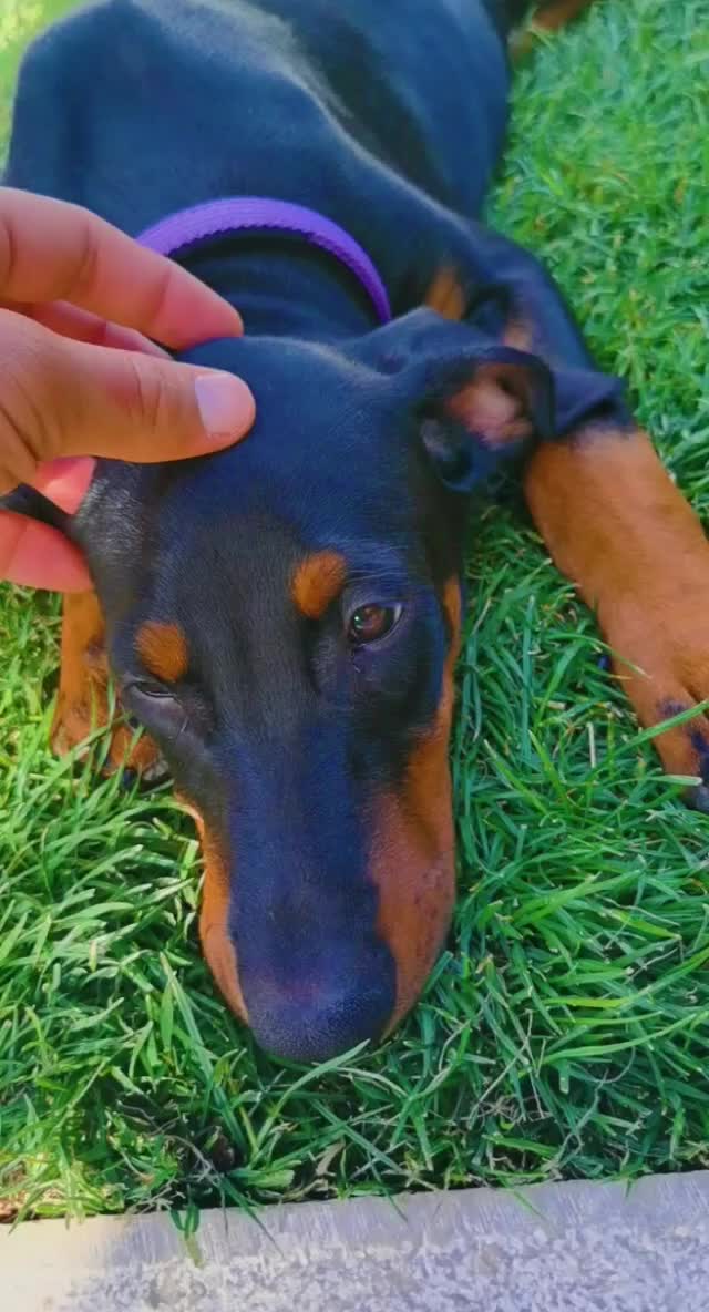 @alpha_walks.jo