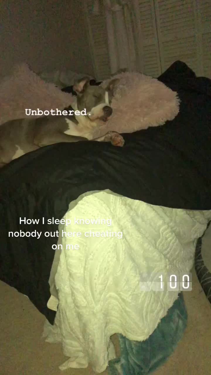 @patshxrp