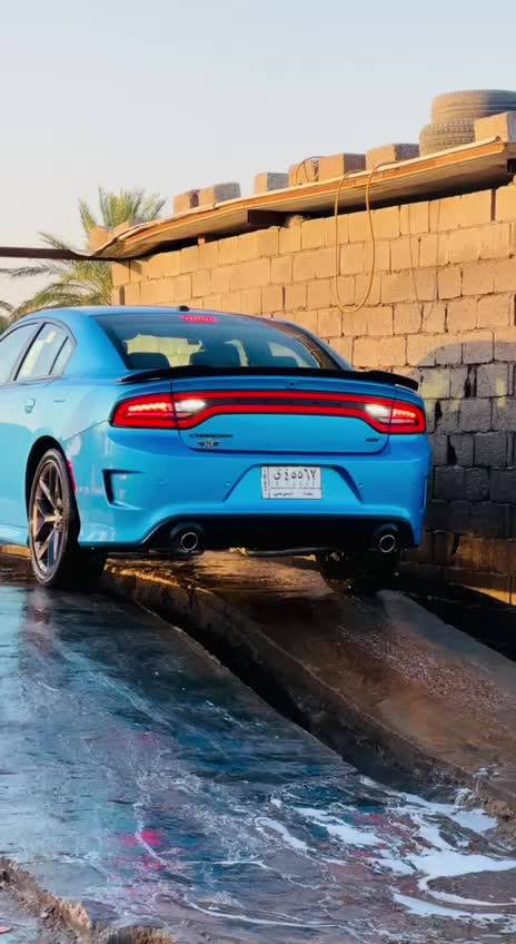 @الزعيم طال عمره