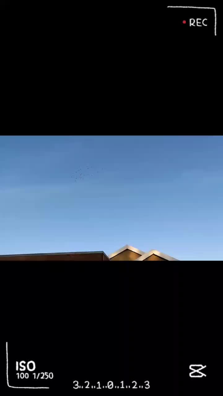 @Dmck