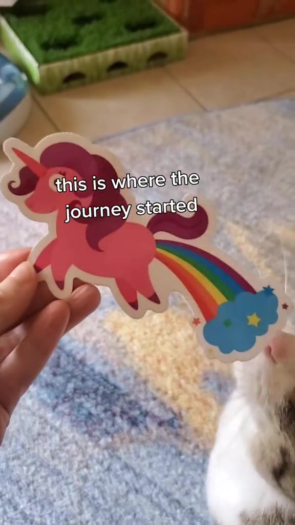 @stickeroonie