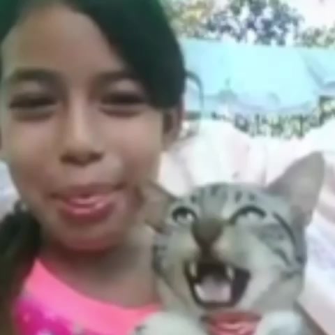 @Bistec