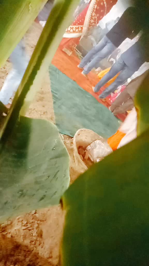 @ویڈی اوجی