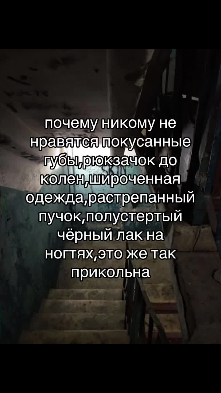 @мейби хмурая лапа