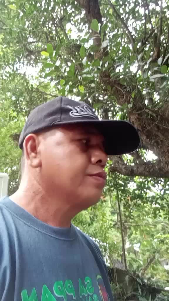 @Fernando Pillas