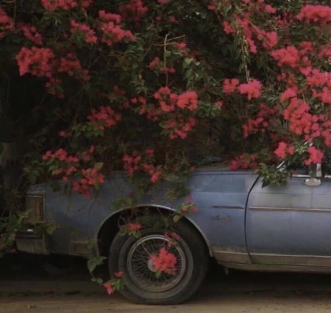 @رُقيه