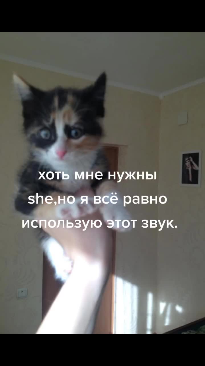 @никитк
