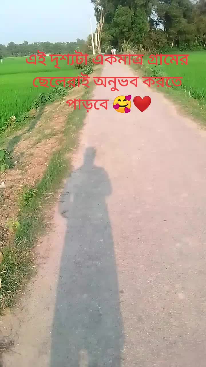 @BM Rabbi